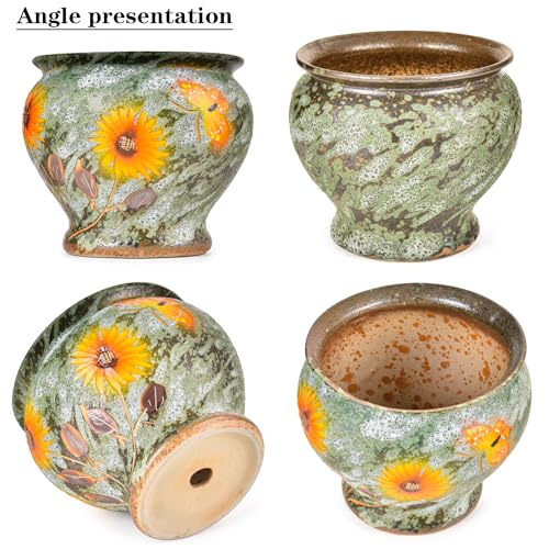 9 Inch Hand Painted Ceramic Succulent Plant Pots