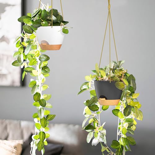 6.5 Inch Hanging Planters for Indoor Outdoor Plants (2 Count)