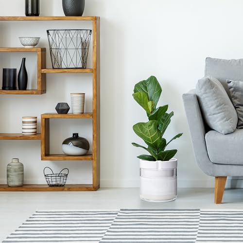 8 Inch Self Watering Planter