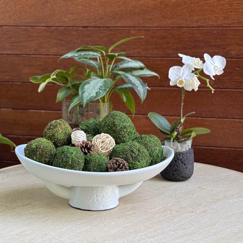 Elegant Ceramic Bowl with Moss Ball Set