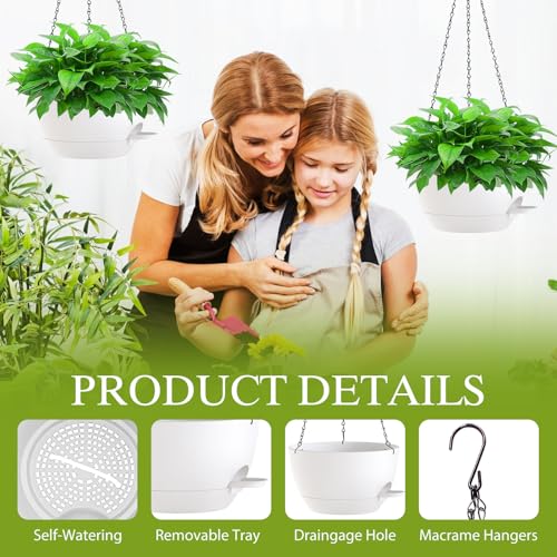 12 Inch Hanging Baskets 2 PC with Chains (2 Count)