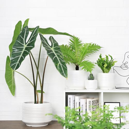 10 Inch Ceramic Plant Pot with Drainage