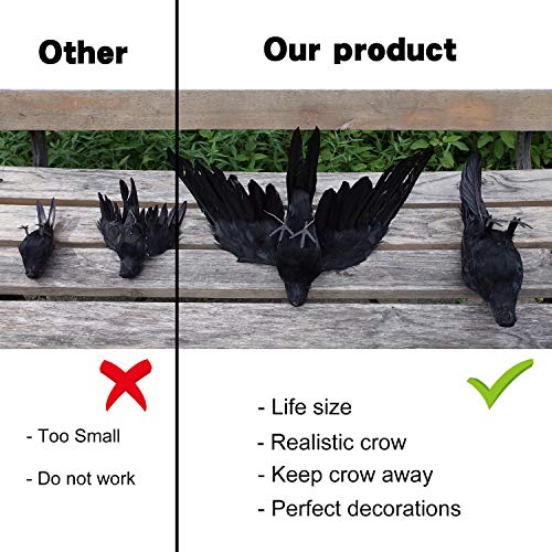 2 Pack Realistic Crows Lifesize Extra Large Handmade Black Feathered Crow for Halloween Decorations Birds (2 Count)
