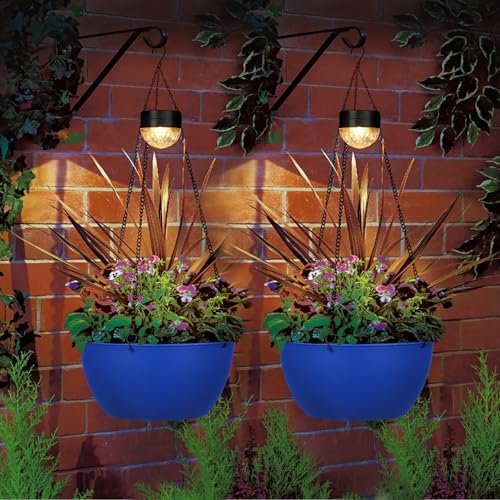 2 Pack Solar Hanging Planters for Plants Outdoor (2 Count)