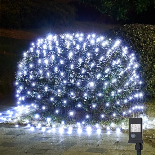 Outdoor Christmas Lights