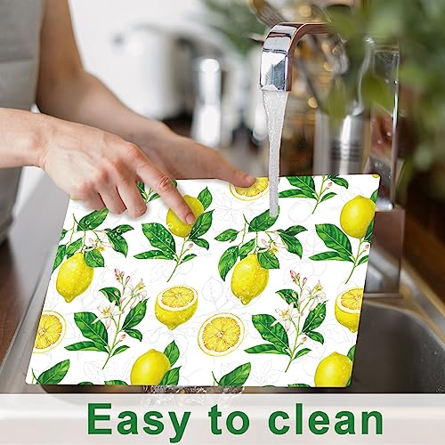 Lemon Placemats Set of 6 Summer Plastic Table Mat 17×13×0.04in (6 Count)