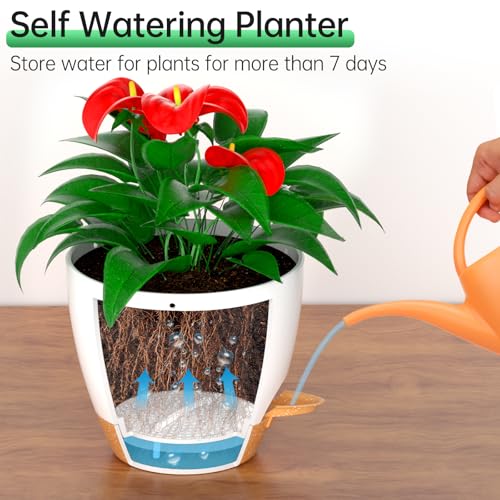 8 Inch Hanging Planters for Indoor Outdoor Plants (2 Count)