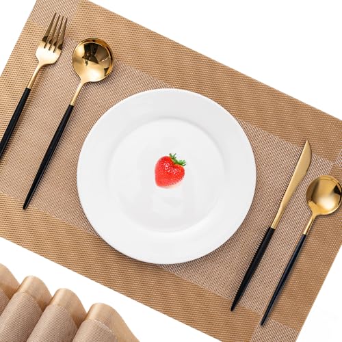 Placemats Set of 6 Washable Indoor (6 Count)