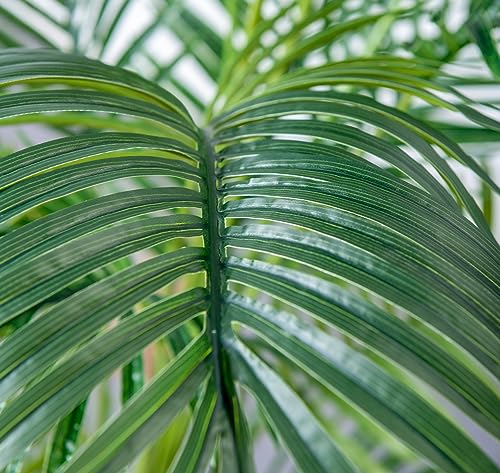 6FT 2Packs Artificial Palm Tree (2 Count)