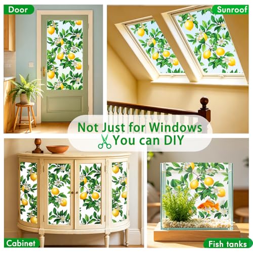 Frosted Window Privacy Film