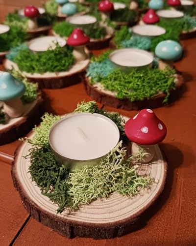 Natural Wood Slices 30 Pcs 2 (30 Count)