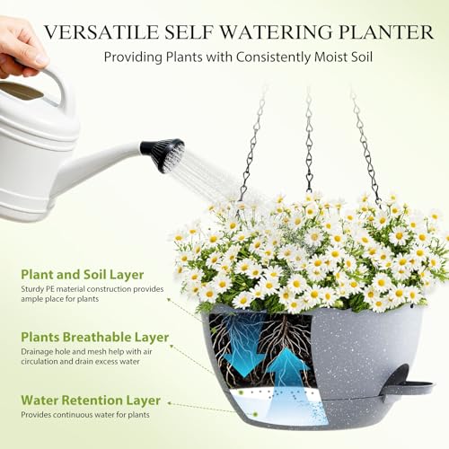 12 Inch Hanging Baskets 2 PC with Chains (2 Count)