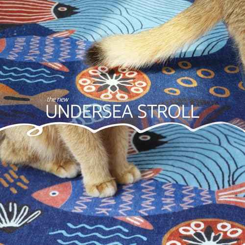 5x7 Coastal Area Rug Kids Washable Fun Rug Colorful Ocean Fish Indoor Floor Cover Non Slip Lightweight Soft Cozy Carpet for Bedroom Nursery Playroom Daycare Living Room (35 Sq Ft)