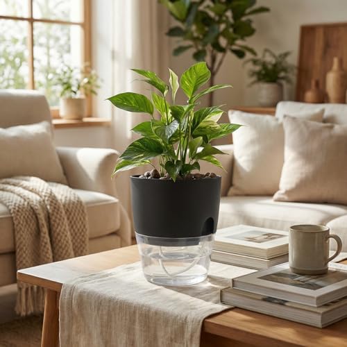 6 Inch Self Watering Pots for Indoor Plants African Violet Pots (3 Count)