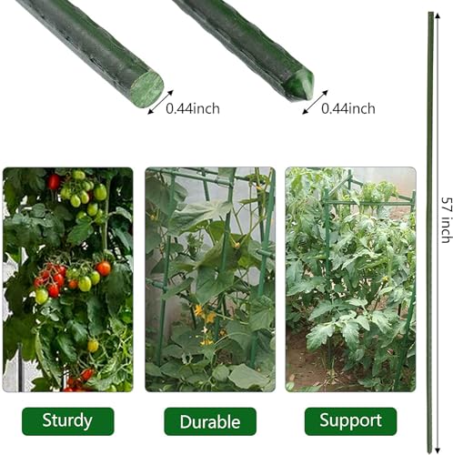 Garden Plant Stakes (25 Count)