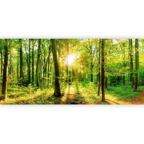 Premium Wall Mural Wallpaper (11 Count)