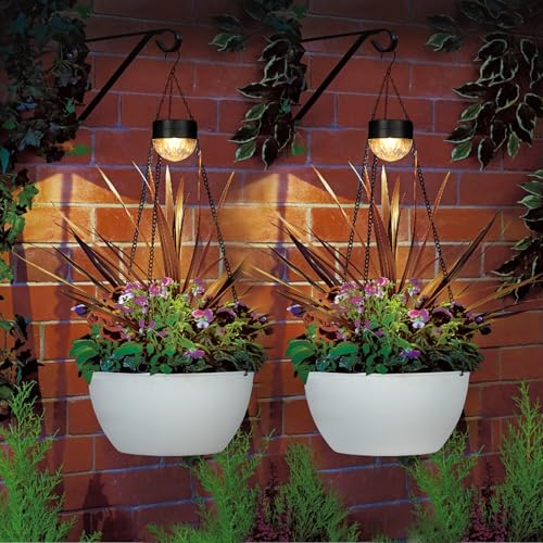 2 Pack Solar Hanging Planters for Plants Outdoor (2 Count)