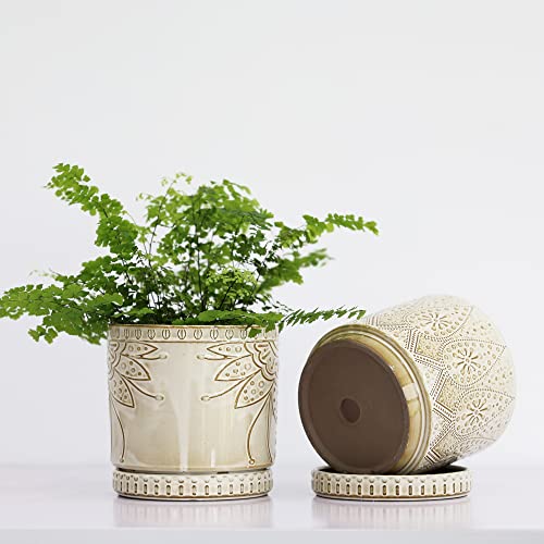 6 Inch Indoor Plant Pots with Drainage Holes and Saucers (2 Count)