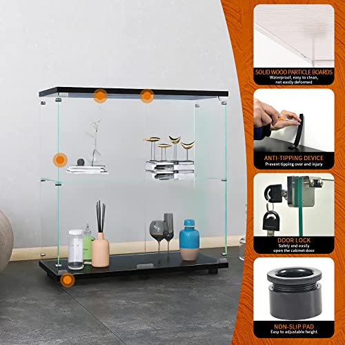 Black Glass Display Cabinet
