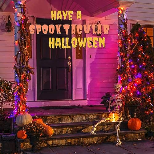 75.8FT 200 LED Linkable Orange and Purple Halloween Lights Indoor Outdoor