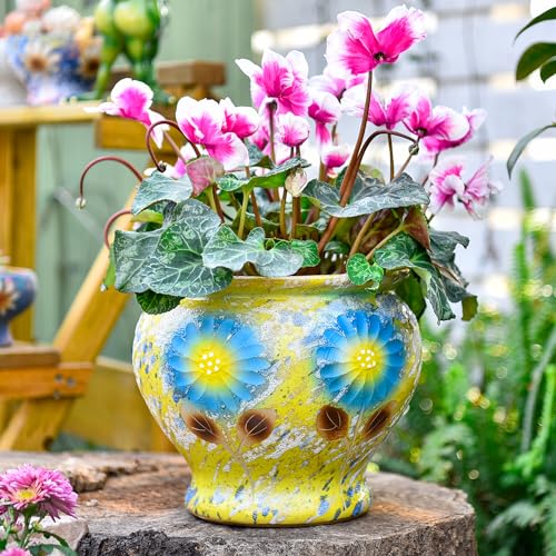 9 Inch Hand Painted Ceramic Succulent Plant Pots
