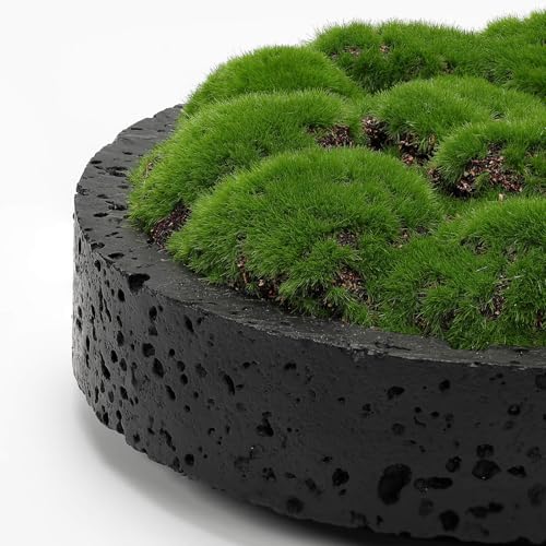 New Moss Bowl