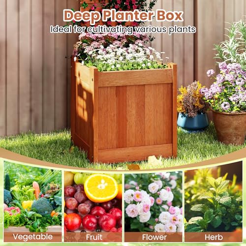 Raised Garden Bed with Trellis & Open (2 Count)