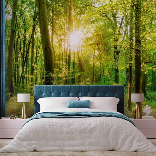 Premium Wall Mural Wallpaper (11 Count)