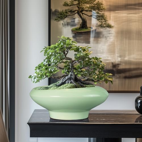 Ceramic Bonsai Pots