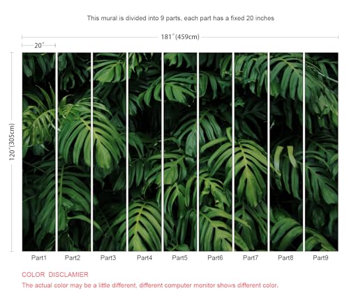 Tropical Monstera Wallpaper Banana Leaf Wall Mural Wallpaper for Living Room Bedroom TV Background Wall Covering