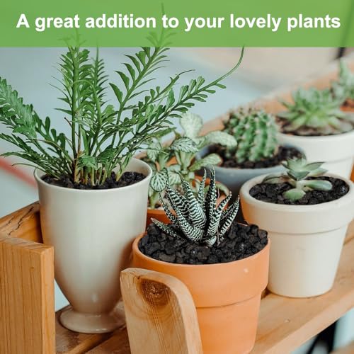 5 lbs Pebbles for Indoor Plants