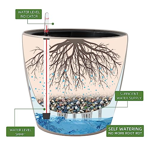 15x14 Self Watering Planter with Wheels