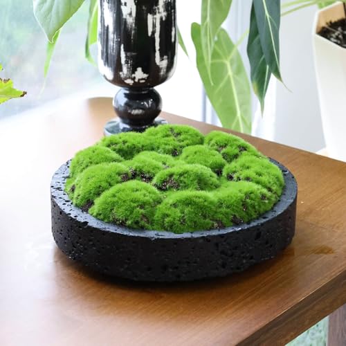 New Moss Bowl