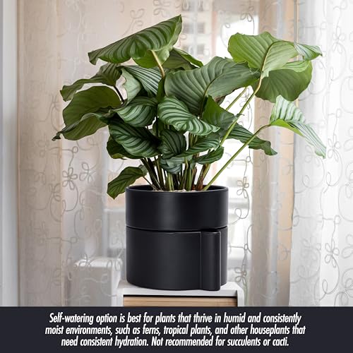8 Inch Self Watering Planter Pot with Terracotta Insert