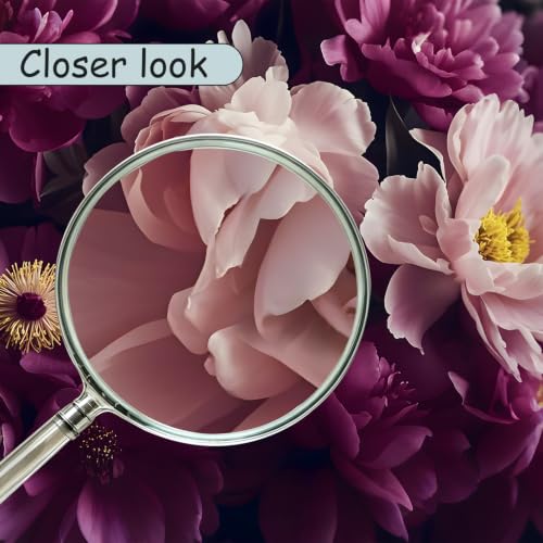 Dark Peony Floral Peel and Stick Wallpaper Purple Flowers Mural