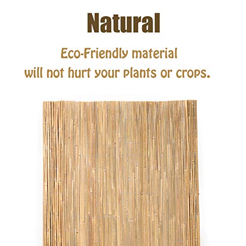Natural Bamboo Slat Screening (84.5 Sq Ft)