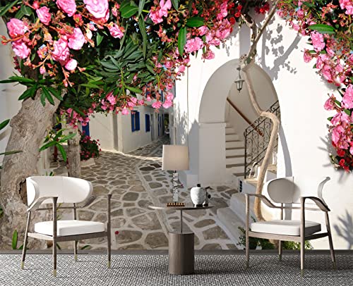 Traditional Backalleys of Amorgos Greece wall Mural Wallpaper for Bedroom 178" x 117"