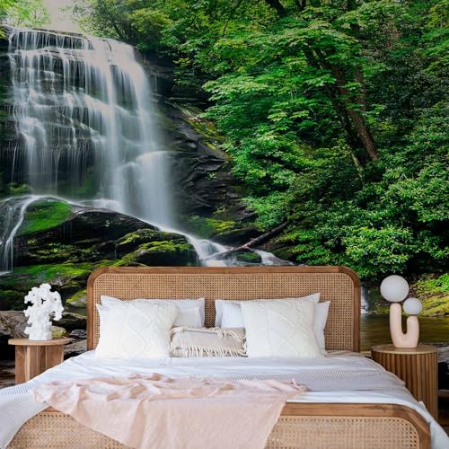 Wall Mural Wallpaper (147 Sq Ft)