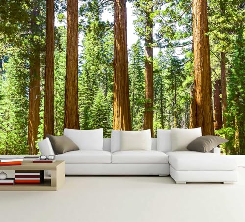 Redwood Forest Landscape Peel and Stick Wallpaper Mural for Bedroom