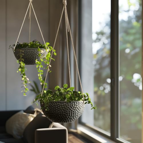 Hanging Planters for Outdoor Plants (2 Count)