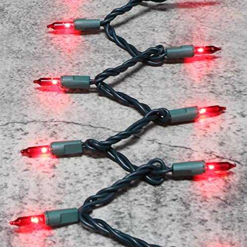 Green Wire Red 300 Incandescent Mini Bulb String Lights for Indoor Christmas Tree Garland Birthday Wedding Party Festival Decoration (300 Count)