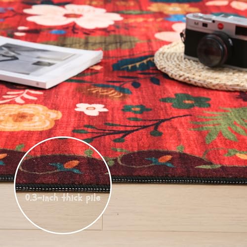 Door Mat 2x3 Area Rug Washable