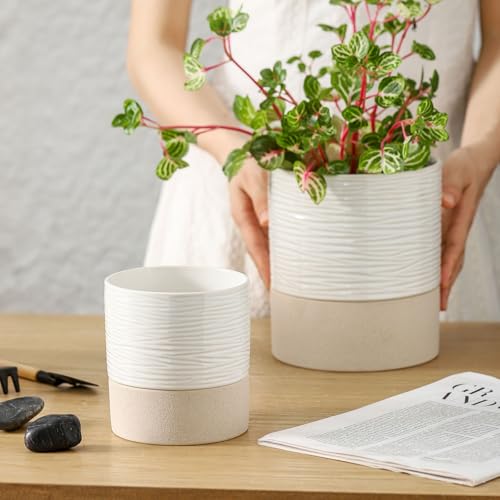 Ceramic Self Watering Plant Pot for Indoor Plants