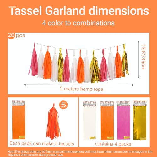 Shiny Tassel Garland Tissue Paper Tassel Banner