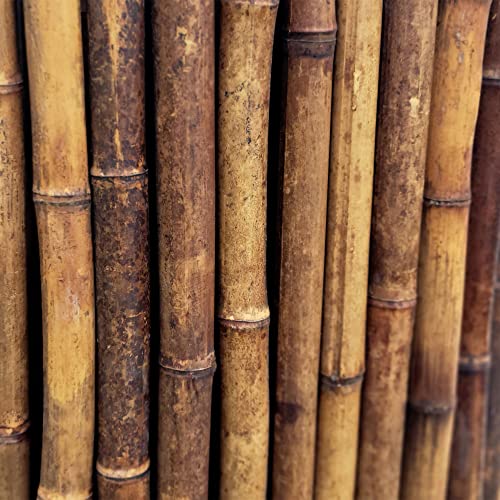 Caramel Brown Bamboo Fencing Panel Roll (48 Sq Ft)