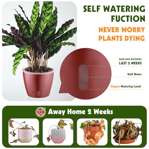 Self Watering Pots for Indoor Plants (4 Count)