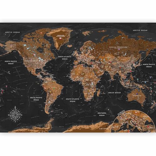 Wall Mural World Map 154x110 in (118.18 Sq Ft)