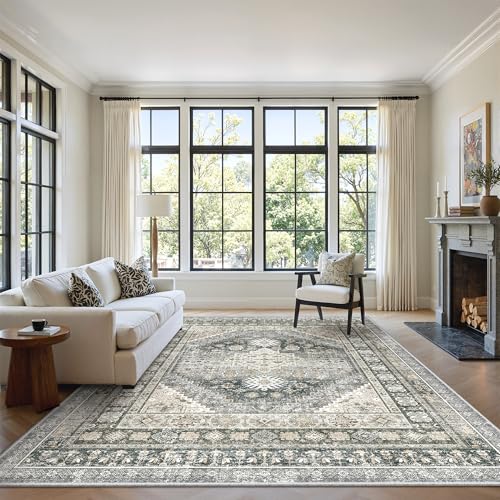 6x9 Area Rugs for Living Room
