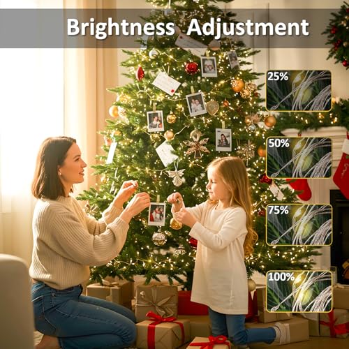 Photo Clip String Lights 33FT 100 LED Fairy Lights Bedroom Dorm