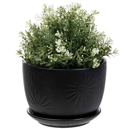 7 Inch Black Ceramic Sunburst Planter Pot with Attached Saucer